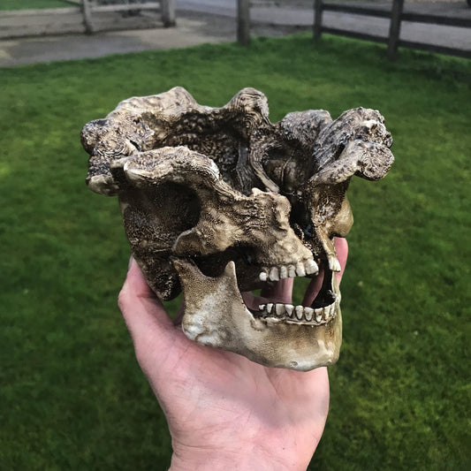 The last of Us Clicker! Last Of Us 2 Clicker skull, last of us gift plant pot, ornament. Hand crafted unique gamer gift!