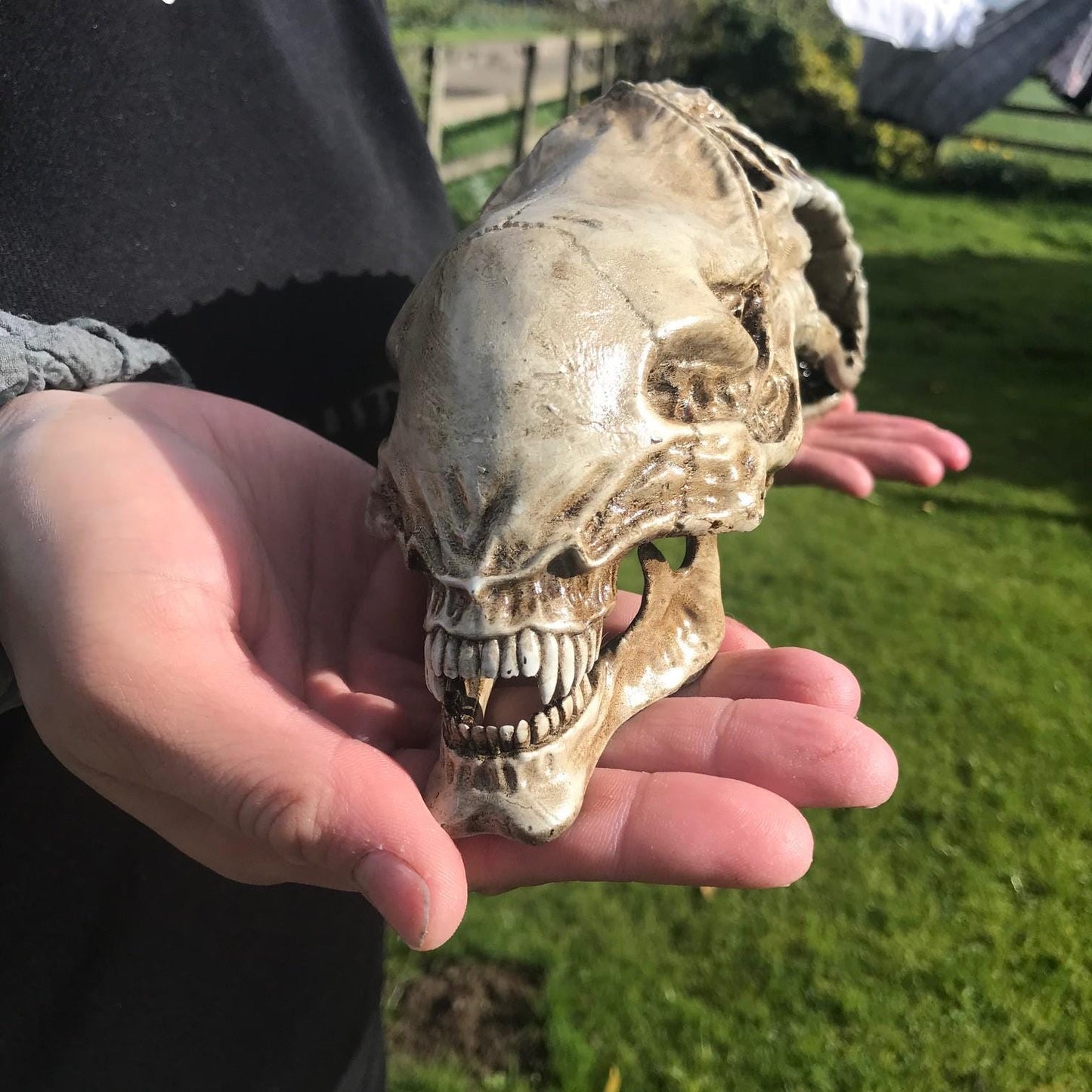 Xenomorph Alien skull! handmade Resin Statue - HR Giger Alien Model! Xenomorph Gift!