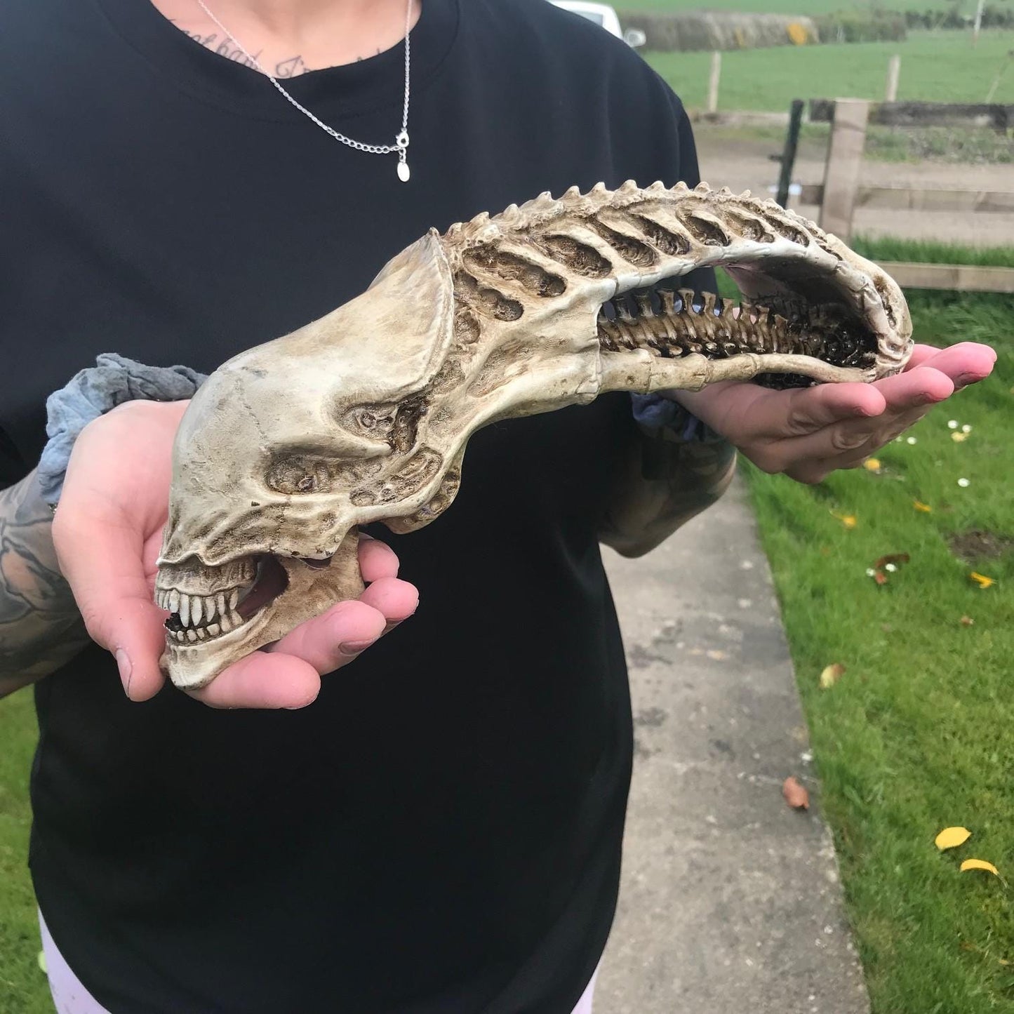 Xenomorph Alien skull! handmade Resin Statue - HR Giger Alien Model! Xenomorph Gift!