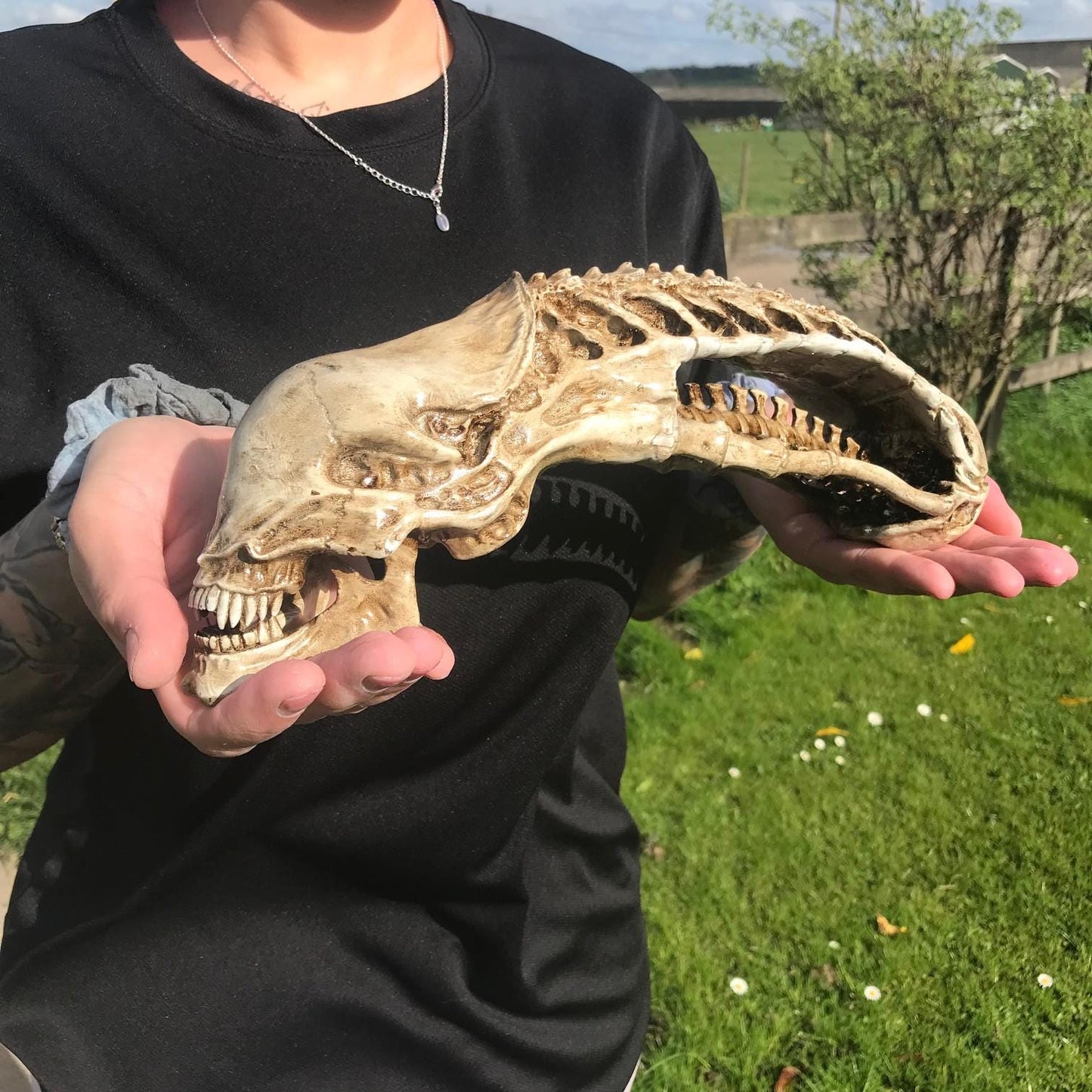 Xenomorph Alien skull! handmade Resin Statue - HR Giger Alien Model! Xenomorph Gift!