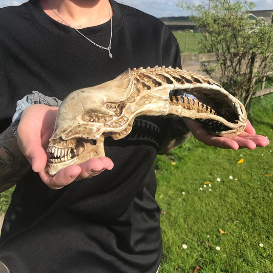 Xenomorph Alien skull! handmade Resin Statue - HR Giger Alien Model! Xenomorph Gift!