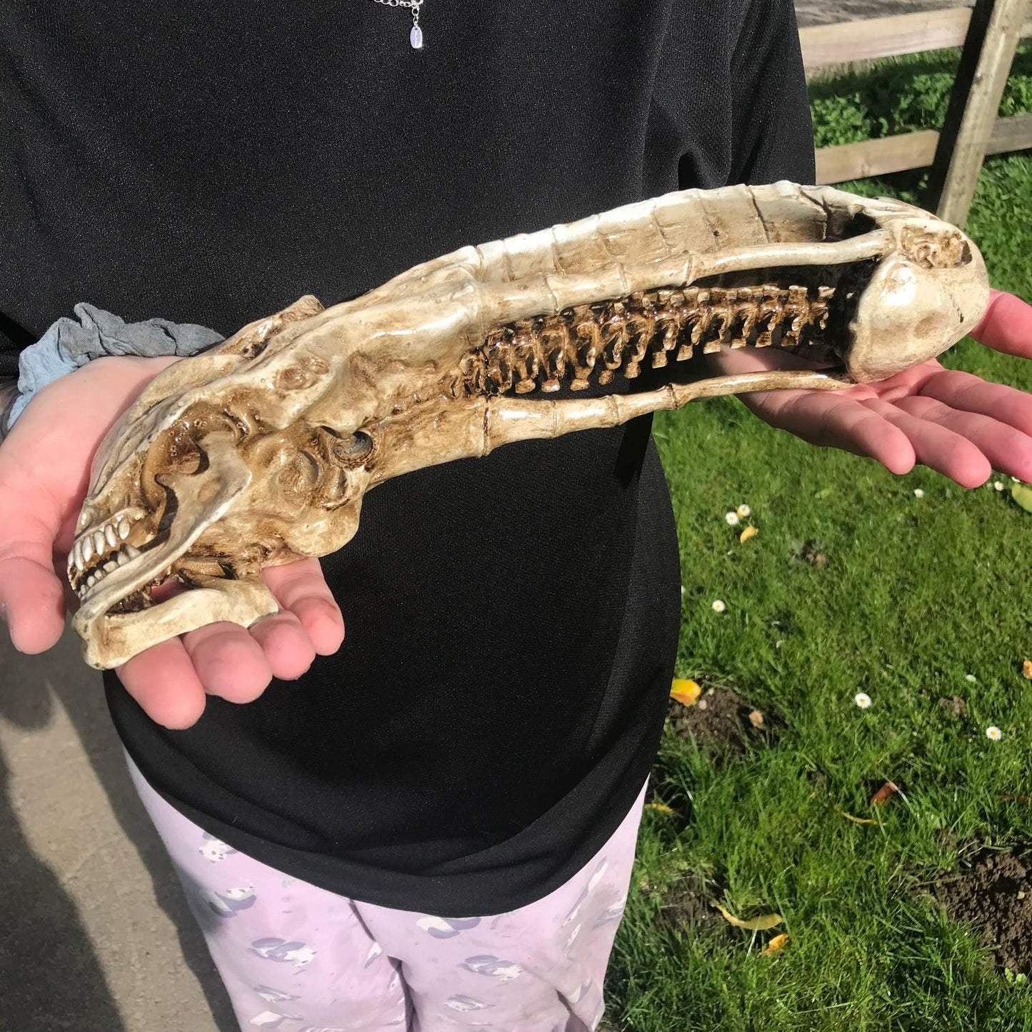 Xenomorph Alien skull! handmade Resin Statue - HR Giger Alien Model! Xenomorph Gift!