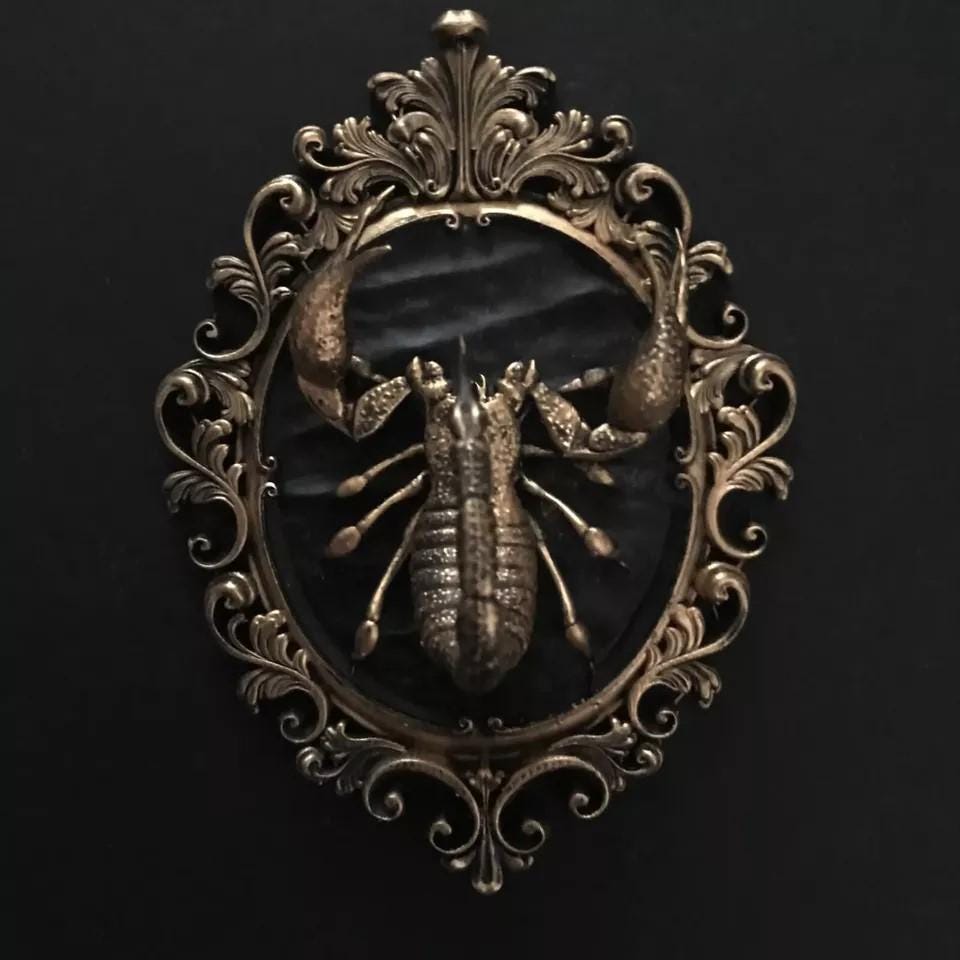 Gothic Frame's - PICK YOUR FAVORITE! Gothic Wall Art!