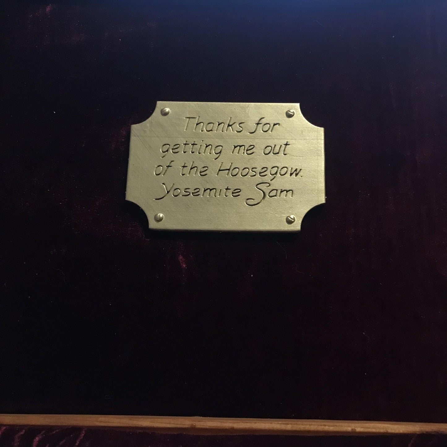 Who Framed Rodger Rabbit Case! Replica Approved by Gary k. Wolf!