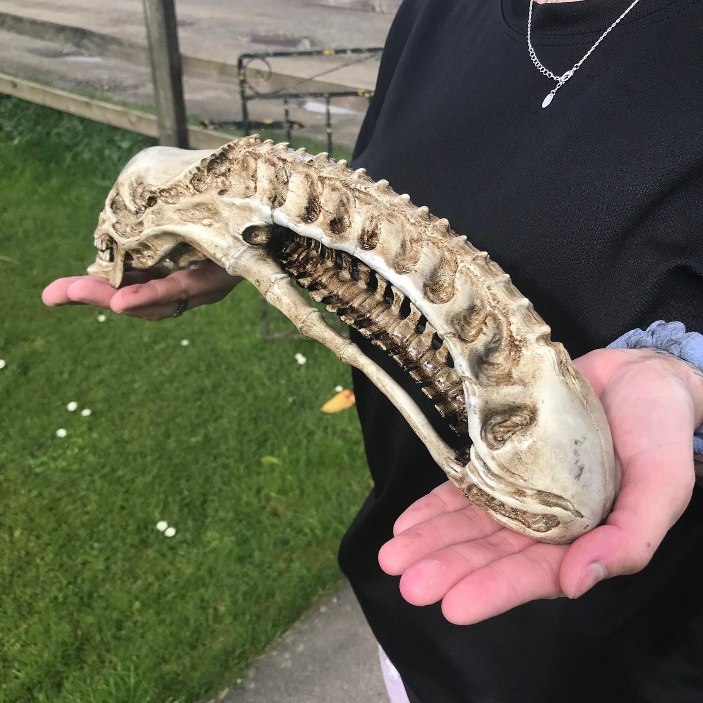 Xenomorph Alien skull! handmade Resin Statue - HR Giger Alien Model! Xenomorph Gift!