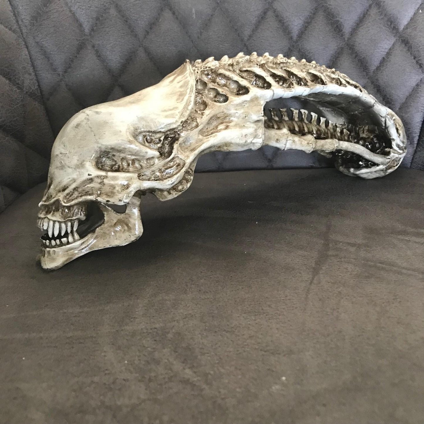 Xenomorph Alien skull! handmade Resin Statue - HR Giger Alien Model! Xenomorph Gift!