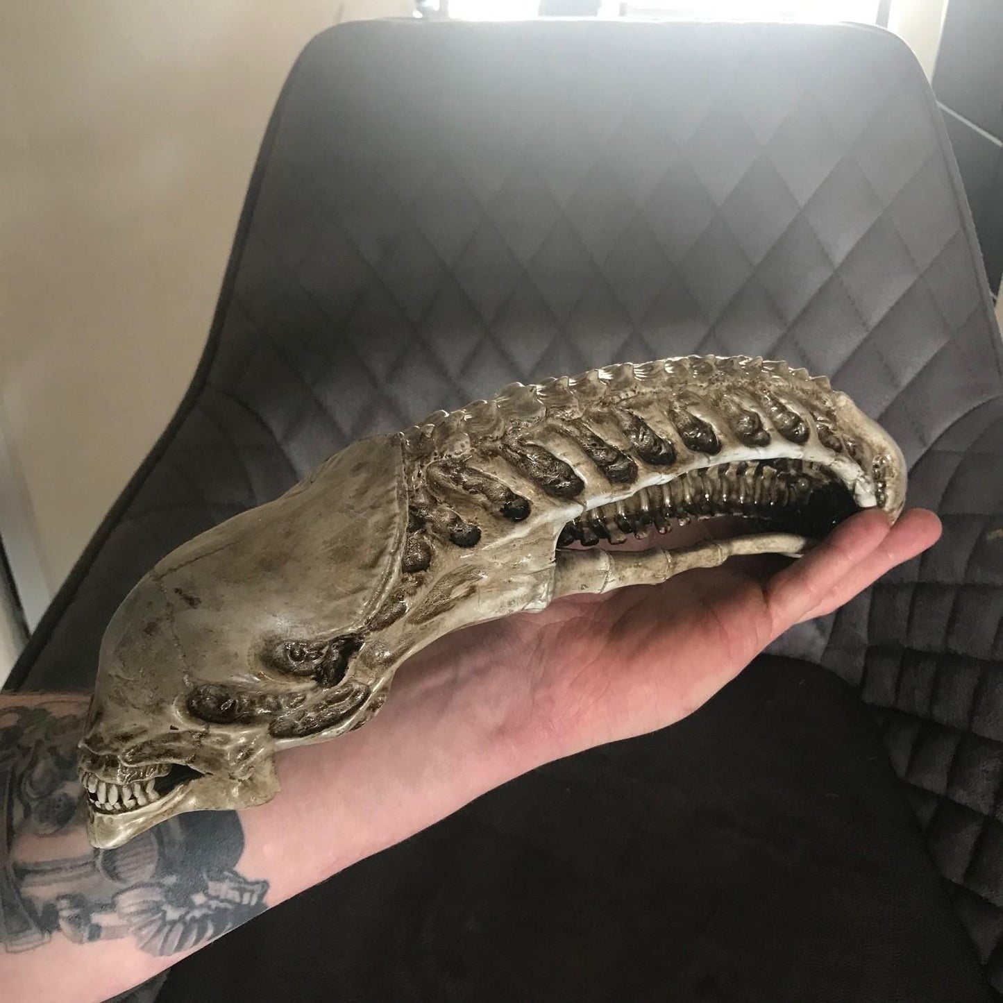 Xenomorph Alien skull! handmade Resin Statue - HR Giger Alien Model! Xenomorph Gift!