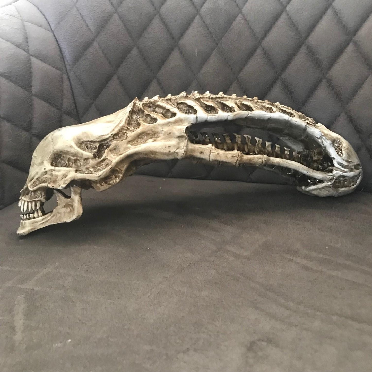 Xenomorph Alien skull! handmade Resin Statue - HR Giger Alien Model! Xenomorph Gift!