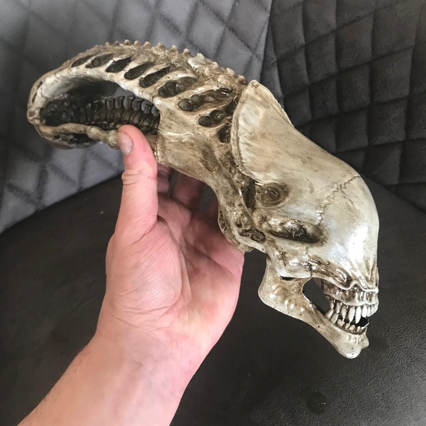 Xenomorph Alien skull! handmade Resin Statue - HR Giger Alien Model! Xenomorph Gift!