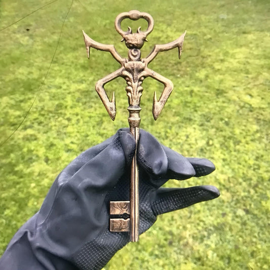 Resident Evil 4 Insignia Key From the Original Game - Resin Resident Evil Key! High Standard Replica!