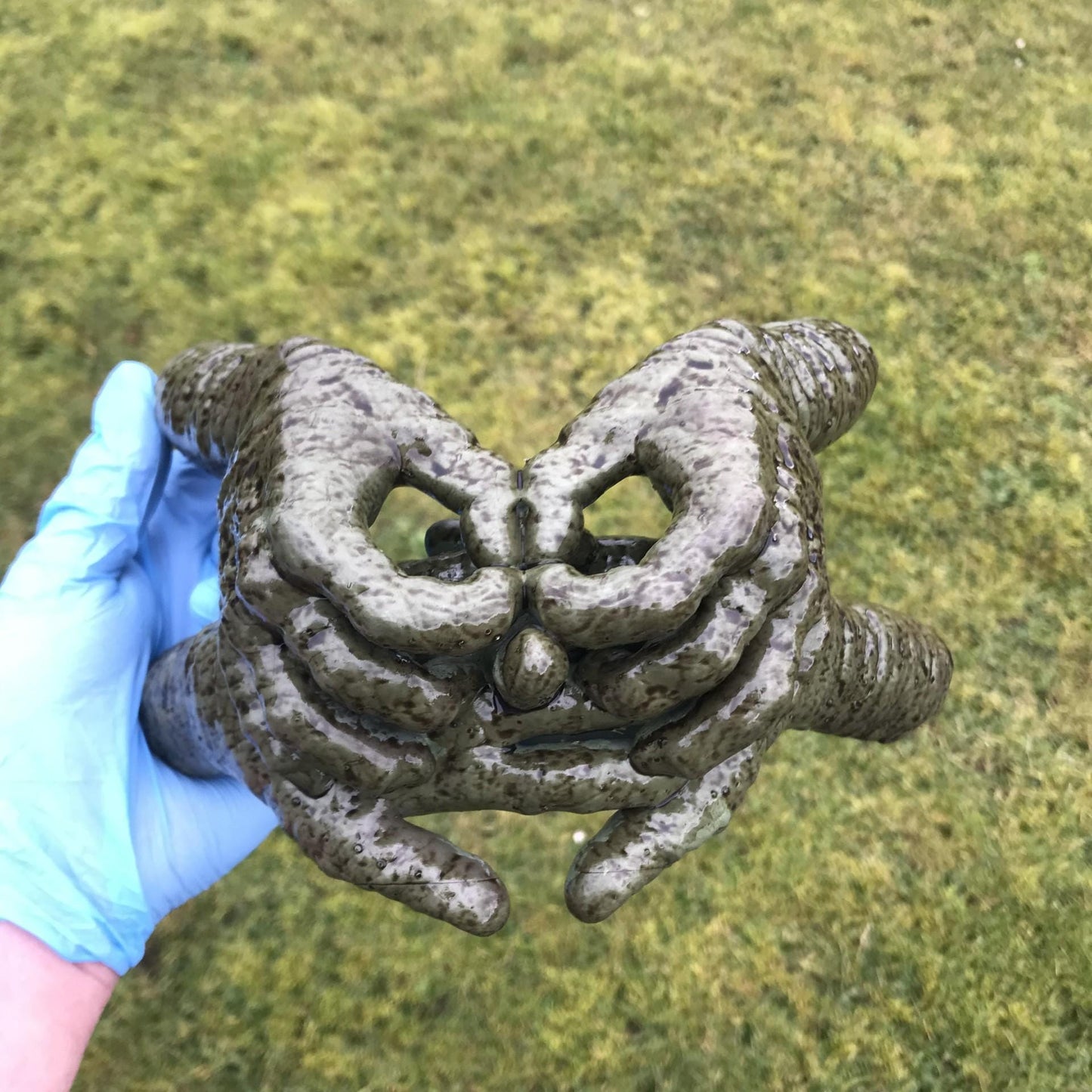 Labyrinth Helping Hands - Large Version!!!  Small and Medium Version, link in Description!