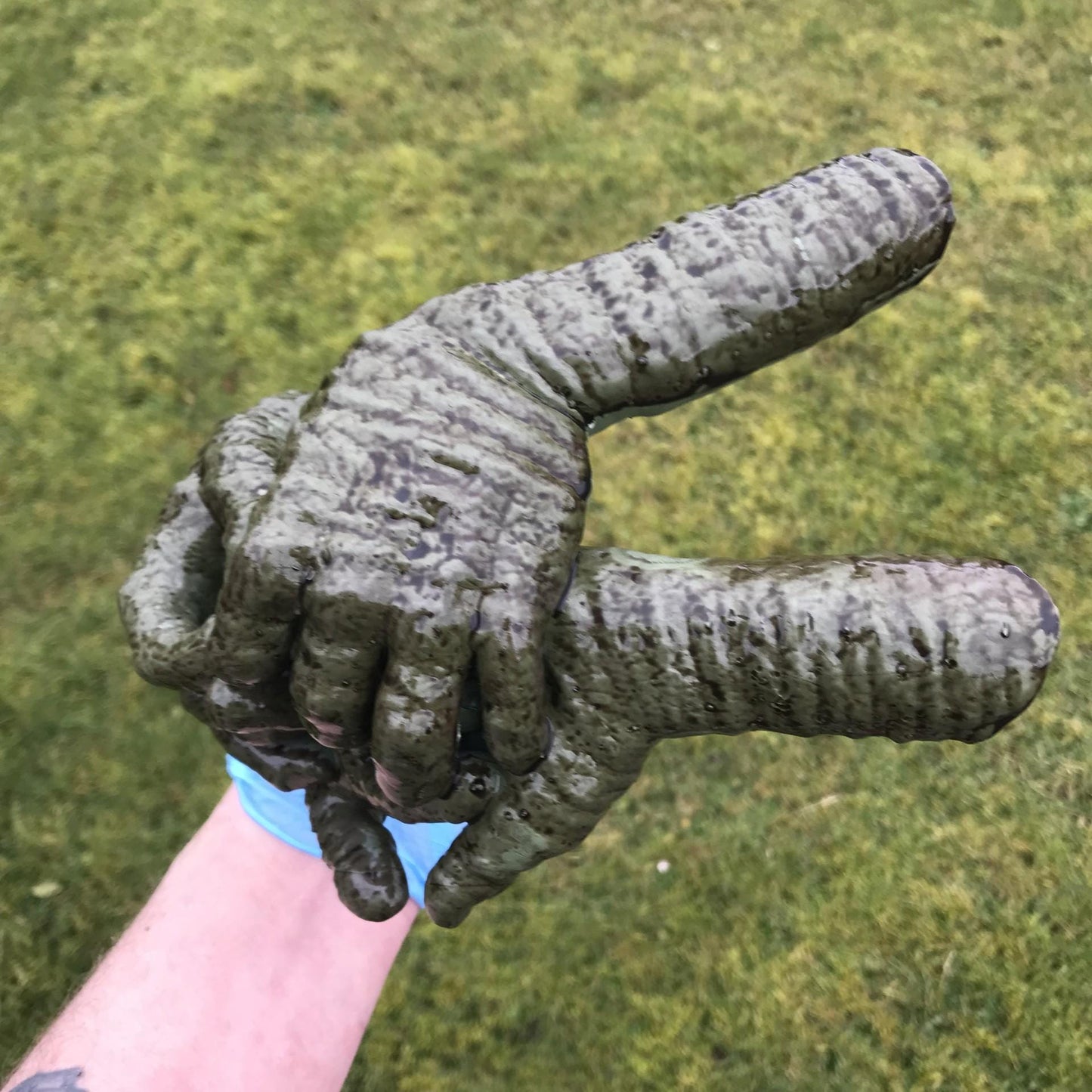 Labyrinth Helping Hands - Large Version!!!  Small and Medium Version, link in Description!